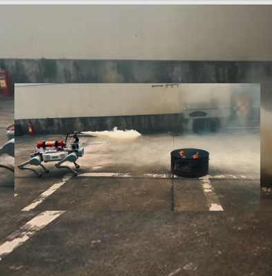 Ultra-lichtgewicht, handig, samenwerkend robotarm, afstandsbediening met explosieve beveiliging